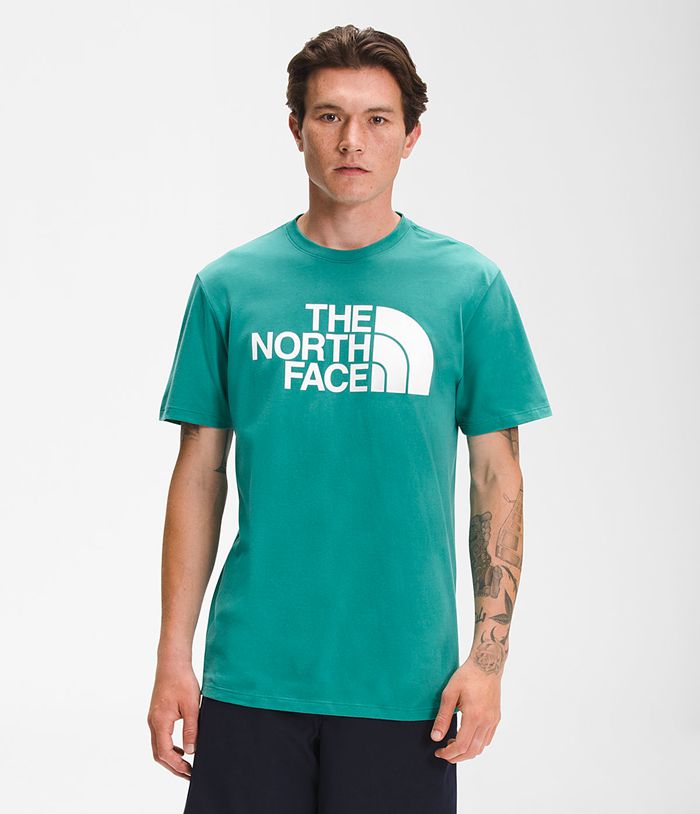 Camiseta The North Face Hombre Manga Corta Half Dome - Colombia OTIJBV815 - Verde